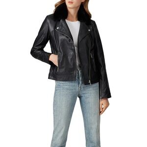 Samantha Sipos Clarkson Black Leather Jacket
